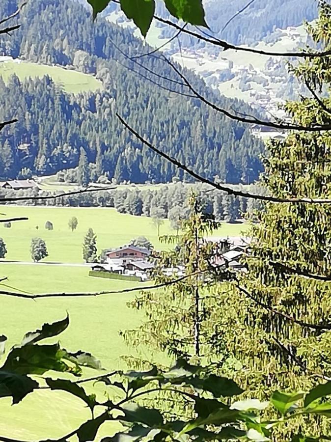 Haus Seppi Hotel Neukirchen am Großvenediger Buitenkant foto