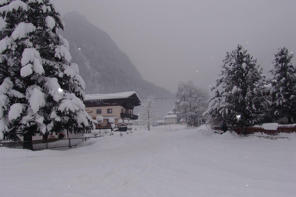 Haus Seppi Hotel Neukirchen am Großvenediger Buitenkant foto